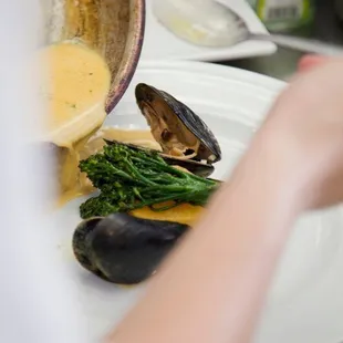 oysters and mussels, mussels, food, oysters, shellfish