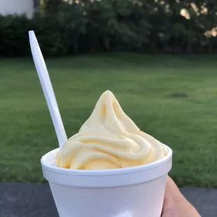 a hand holding a cup of ice cream