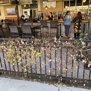 Piedmont social outside bar