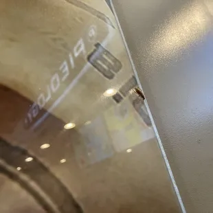 Just saw this roach  crawling on wall after standing in ljne for 15 minutes. Ugh. Yes, we left.