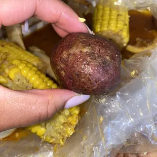 a hand holding a potato and corn on the cob