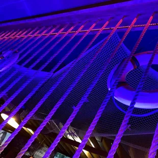 a life preserver in a net