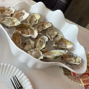 oysters