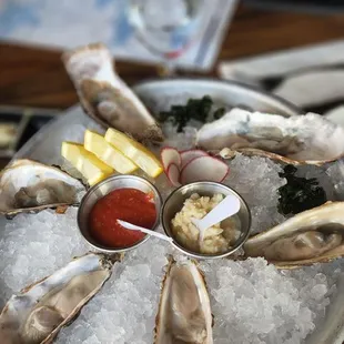 Half Dozen Oysters.