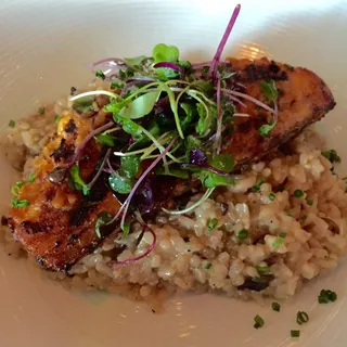 Pier Signature Brown Rice Risotto