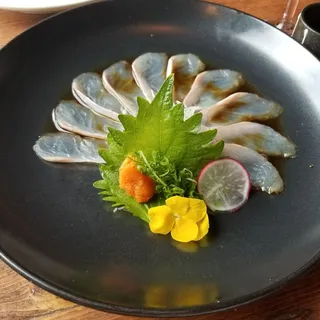 Halibut