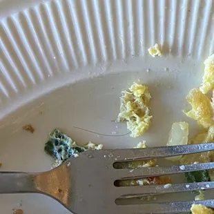 hair in veggie omelette