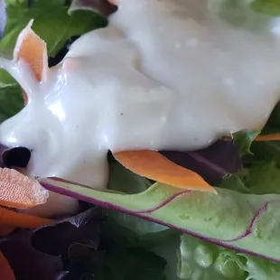 Salad with blue cheese like any other salad