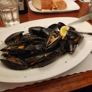 Muscles
