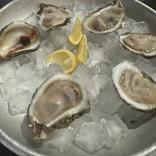 oysters and mussels, food, oysters, shellfish, mussels