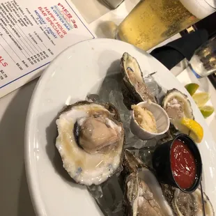 a plate of oysters