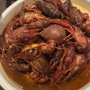 2lb crawfish