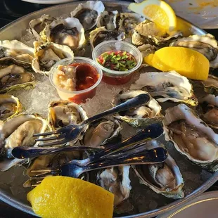 mussels, oysters and mussels, shellfish, food, oysters