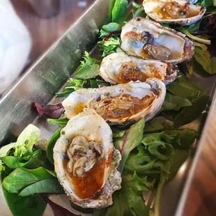 Grilled Oysters