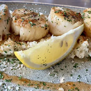 Grande Diver Scallops