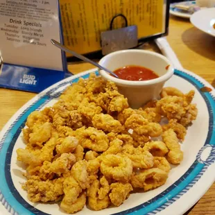 Calamari for appetizer