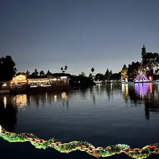 the lights on the water at night