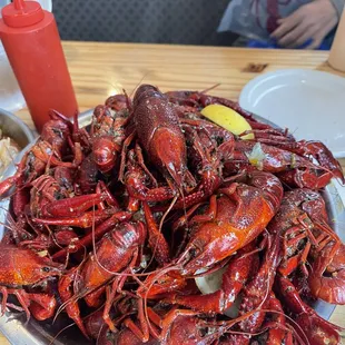 5lbs crawfish huge!