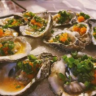 a platter of oysters