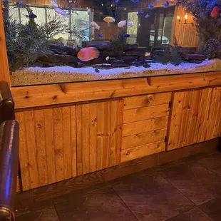 Fish gallery