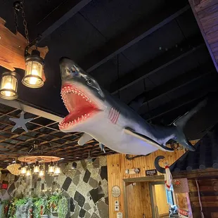 interior, sushi and sashimi