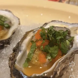 Raw Oyster with chef special sauce