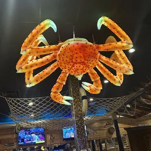 Let's Go!! Crab time!!