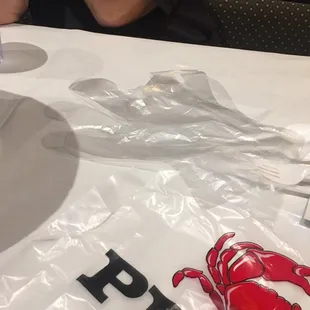 What was in the bucket. Bib and gloves show