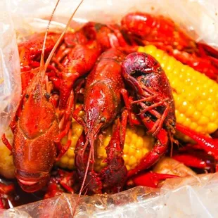 Live crawfish from Louisiana.