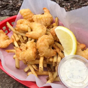 fish, fish and chips, food, seafood