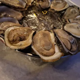 a platter of oysters