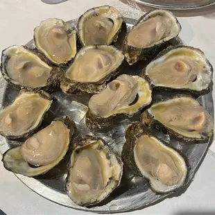 A dozen yummy oysters! They went down pretty fast!