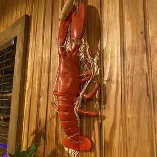 food, sushi and sashimi