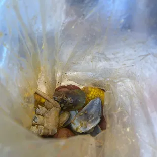 food, oysters and mussels, mussels, shellfish, oysters