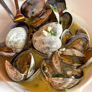 Steamed Clams
