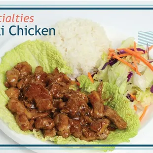 teriyaki chicken with lettuce and coleslaw
