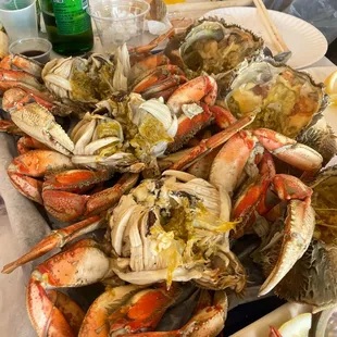 mussels, food, oysters and mussels, oysters, shellfish