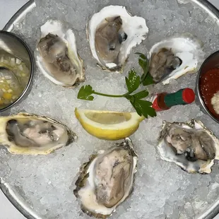 Daily Oyster Selection - 6 Oysters