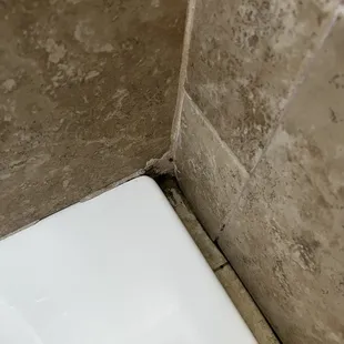 Black mold in the shower