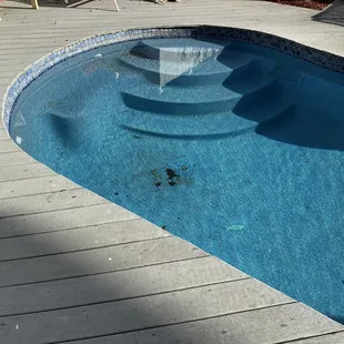 Filthy and unkept pool