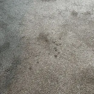 Unknown black carpet stains.