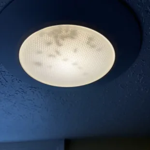 Dead bugs in the bathroom lighting fixture.