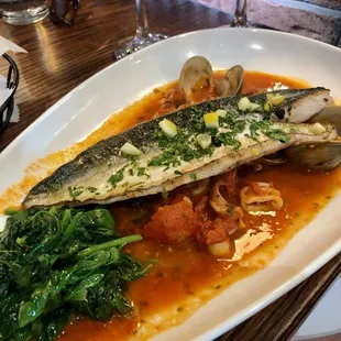Mackerel