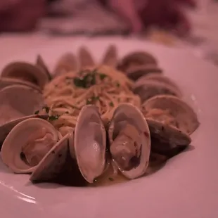 food, pasta dish, pasta