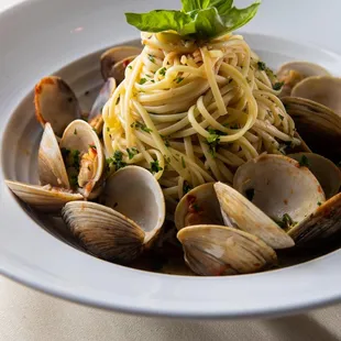 a plate of pasta with clams