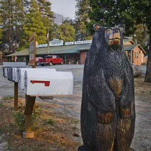 Our bear is there to greet you.