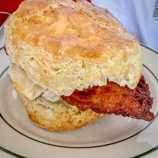 Chicken Biscuit