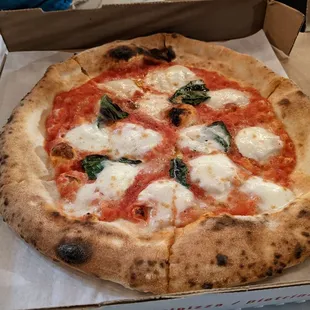 Margherita Pizza
