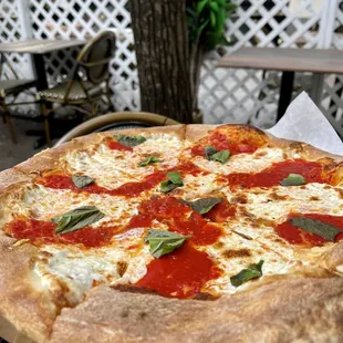 Margherita Pizza medium ($20)