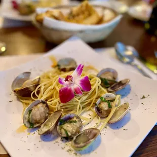 Linguini with Clams!